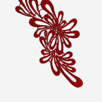 Кружевные лейсы L143